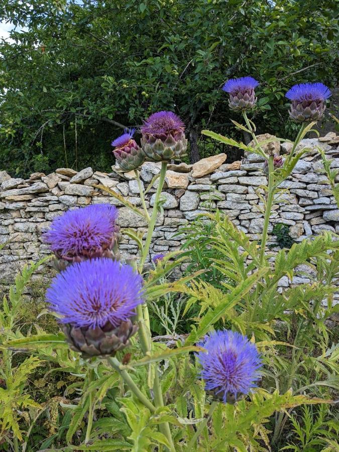 La Grange Symphorine, Chambre D'Hotes De Charme Situee Entre La Vallee De La Dordogne Et La Vallee De La Vezere Meyrals エクステリア 写真